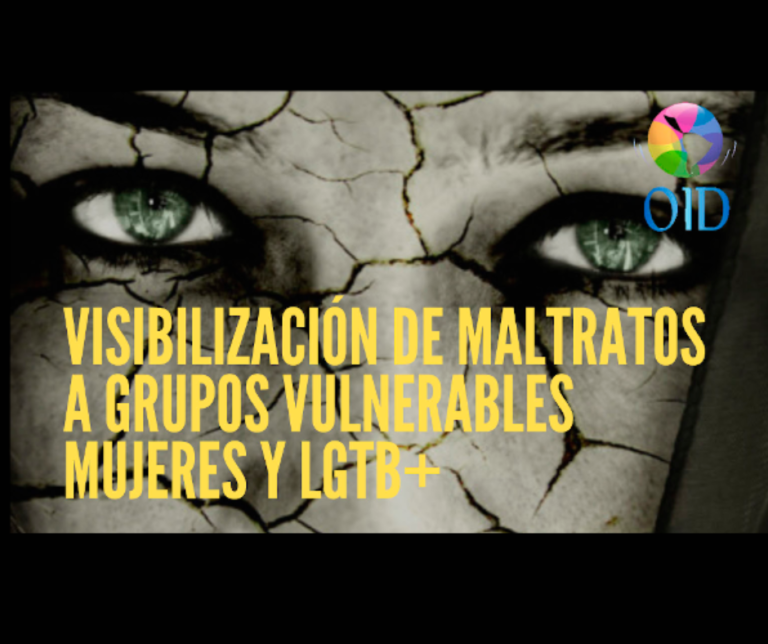 Visibilización de maltratos a grupos vulnerables mujeres y LGTB+